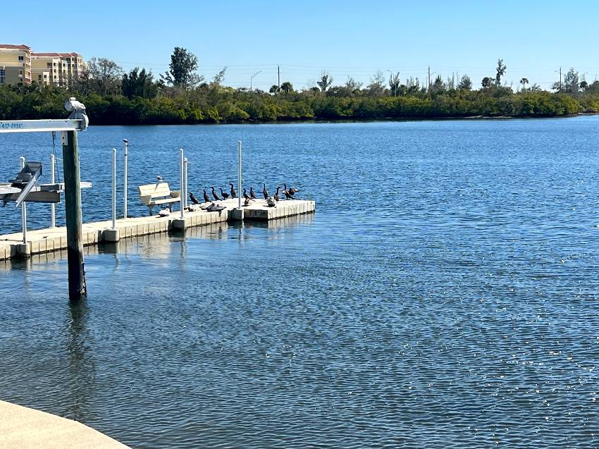 327 3rd St Dr W #11 a Palmetto, FL Mobile or Manufactured Home for Sale